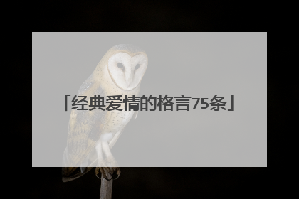 经典爱情的格言75条