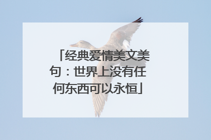 经典爱情美文美句：世界上没有任何东西可以永恒
