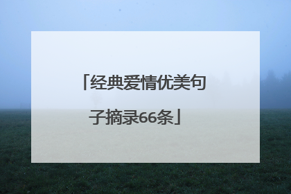 经典爱情优美句子摘录66条