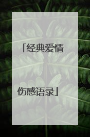 经典爱情伤感语录