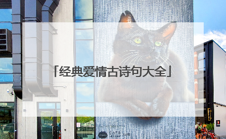 经典爱情古诗句大全