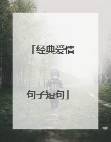 经典爱情句子短句
