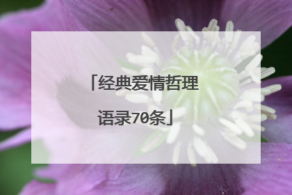 经典爱情哲理语录70条