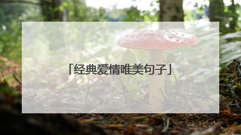 经典爱情唯美句子