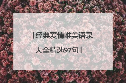 经典爱情唯美语录大全精选97句