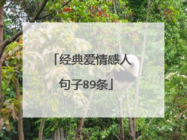 经典爱情感人句子89条