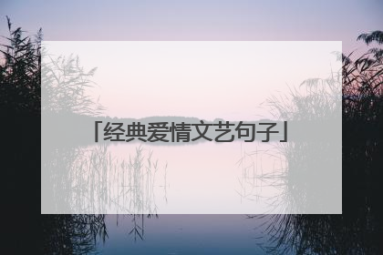 经典爱情文艺句子