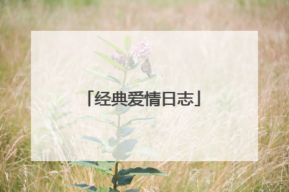 经典爱情日志