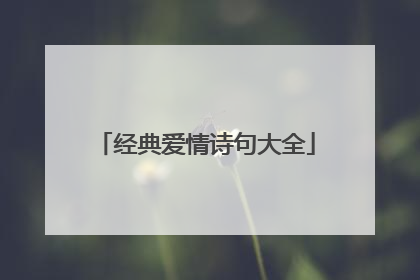 经典爱情诗句大全