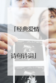 经典爱情诗句诗词