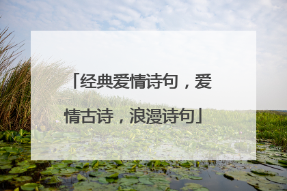 经典爱情诗句,爱情古诗,浪漫诗句