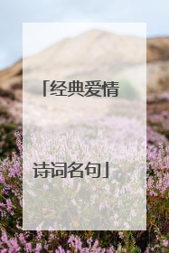 经典爱情诗词名句