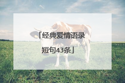 经典爱情语录短句43条