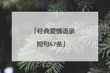 经典爱情语录短句67条