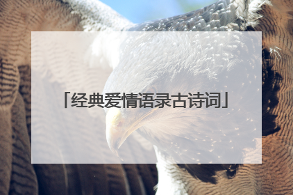 经典爱情语录古诗词