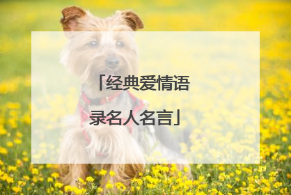 经典爱情语录名人名言