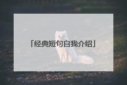 经典短句自我介绍