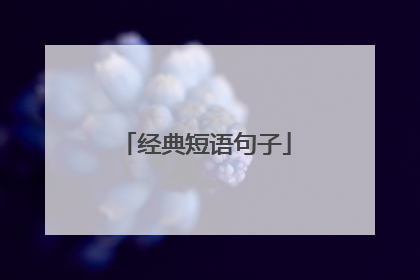 经典短语句子