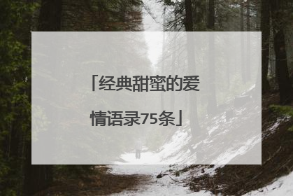 经典甜蜜的爱情语录75条