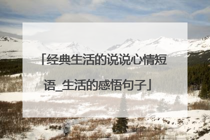经典生活的说说心情短语_生活的感悟句子