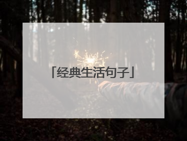 经典生活句子