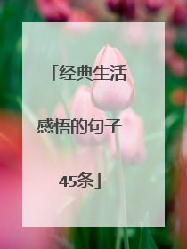 经典生活感悟的句子45条