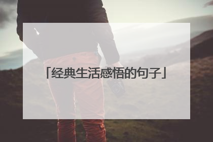 经典生活感悟的句子
