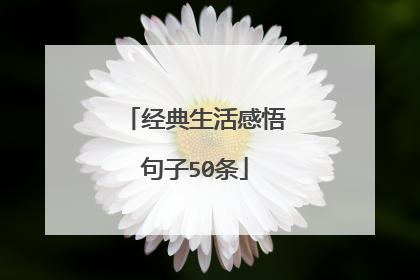 经典生活感悟句子50条