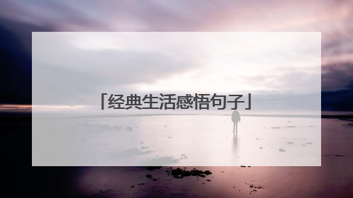 经典生活感悟句子