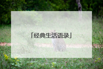 经典生活语录
