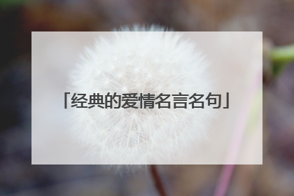 经典的爱情名言名句