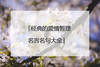 经典的爱情哲理名言名句大全