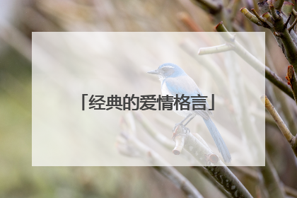 经典的爱情格言