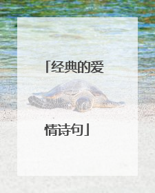经典的爱情诗句
