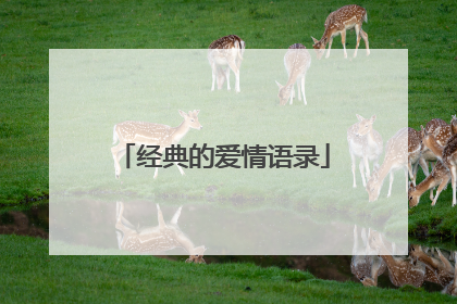 经典的爱情语录