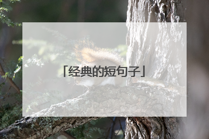 经典的短句子