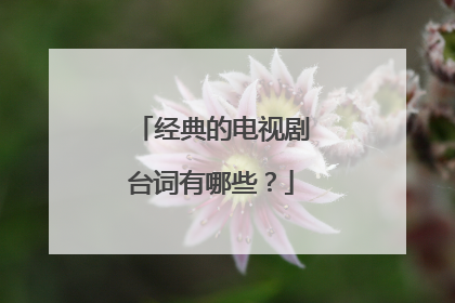 经典的电视剧台词有哪些？