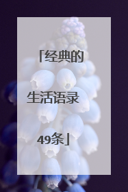 经典的生活语录49条