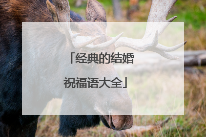 经典的结婚祝福语大全