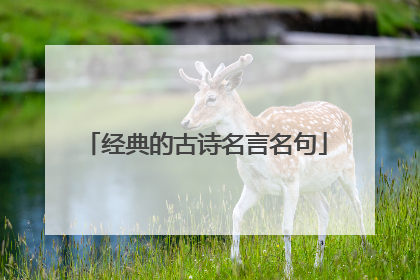 经典的古诗名言名句