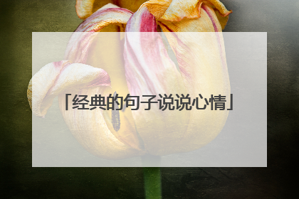 经典的句子说说心情
