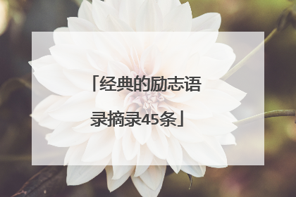 经典的励志语录摘录45条