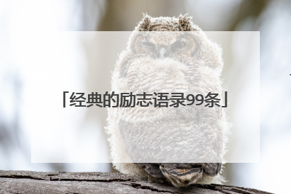 经典的励志语录99条
