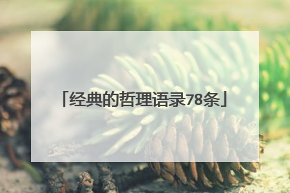 经典的哲理语录78条