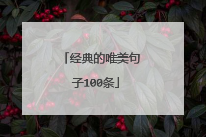 经典的唯美句子100条
