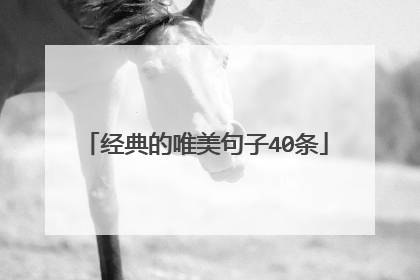 经典的唯美句子40条