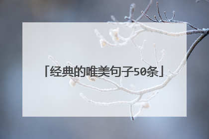 经典的唯美句子50条