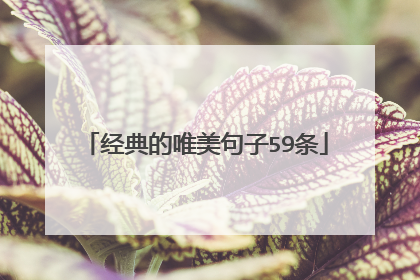 经典的唯美句子59条