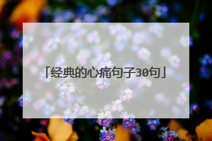 经典的心痛句子30句