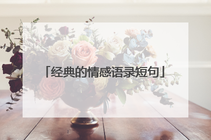 经典的情感语录短句